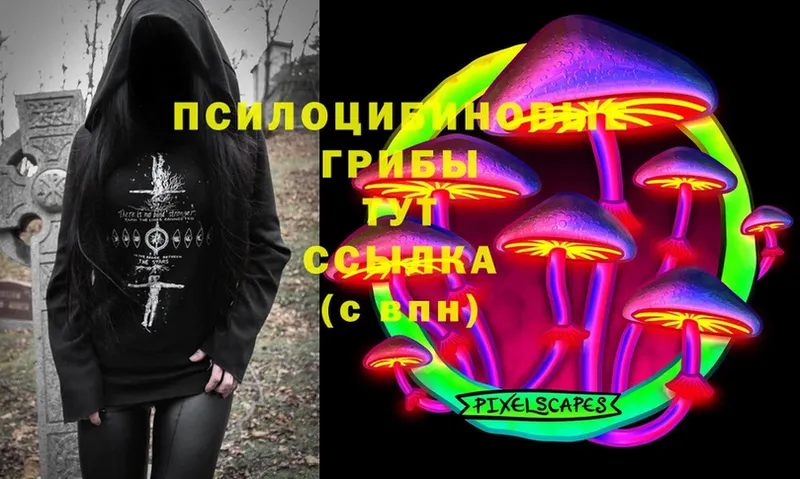 Псилоцибиновые грибы Cubensis  Советская Гавань 